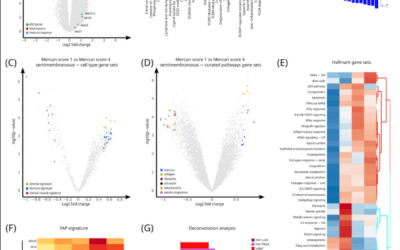 Bioinformatics support to the clinician: Unlock insights from RNA-seq data