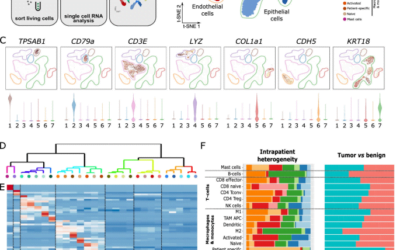 Turning single cell data into impactful and publishable findings