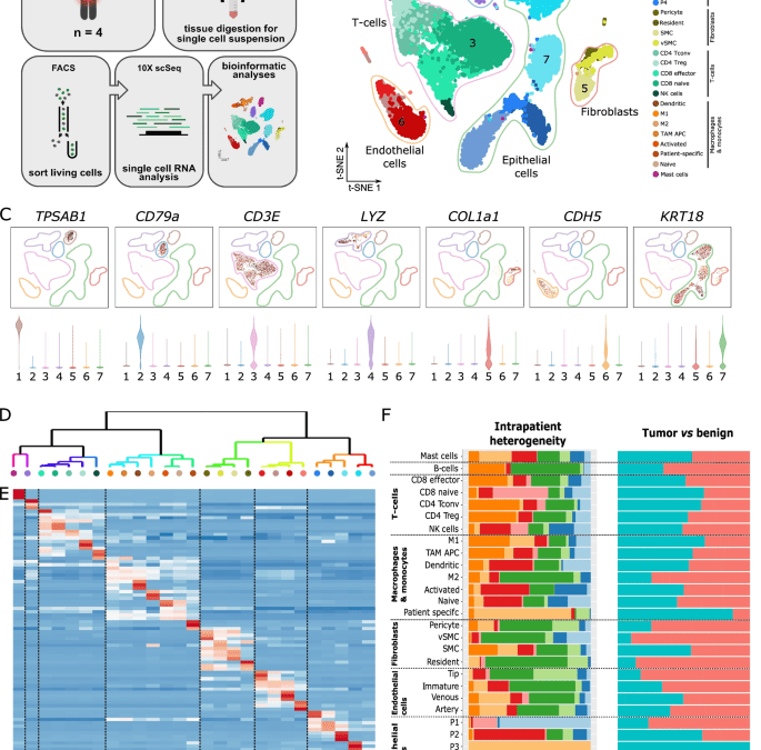 Turning single cell data into impactful and publishable findings